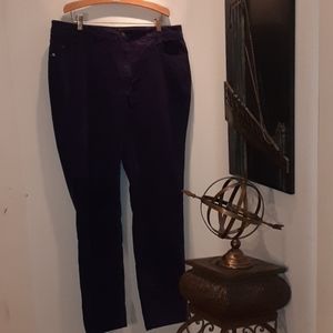 Coldwater Creek classic fit woman pants